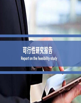 可行性研究报告
